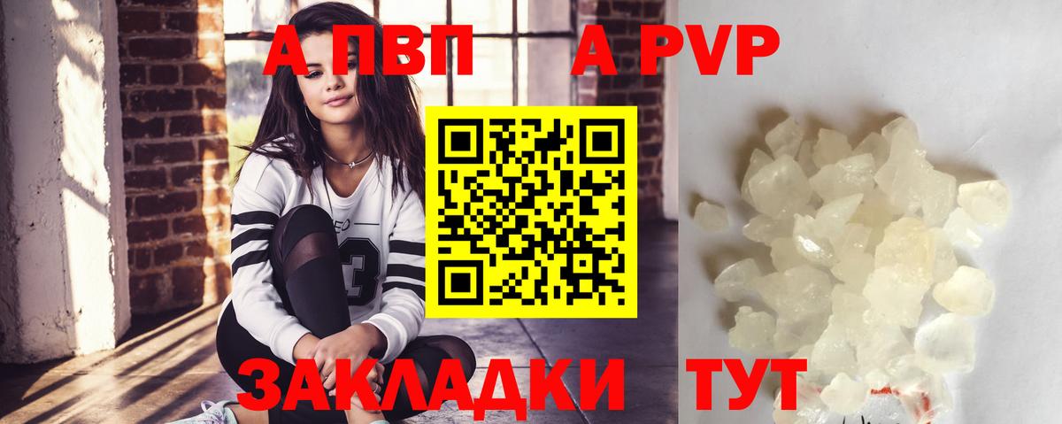 A PVP СК Краснознаменск